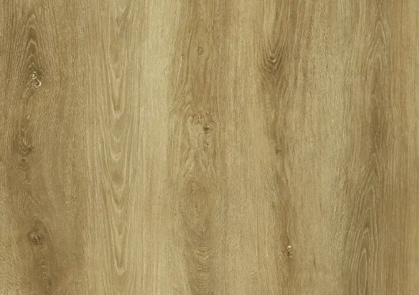 ChangFlor SPC flooring detail for commercial product evaluation